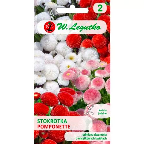 Pomponette sedmikráska, mix obrázek 1 artikel 69631