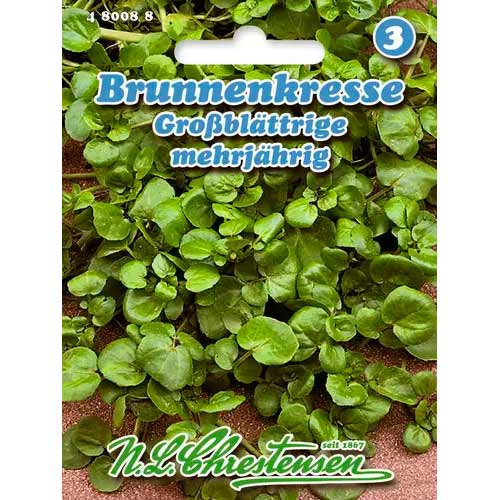 Potočnice lékařská, semena artikel fotografie 1 Potočnice lékařská, semena obrázek 1 artikel 96599