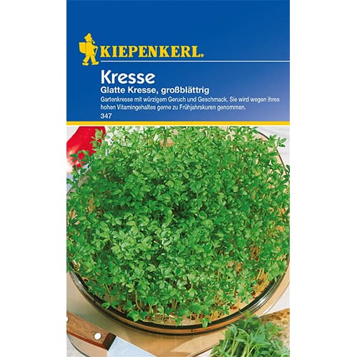 Potočnice (Řeřicha setá) Glatte obrázek 1 artikel 77464