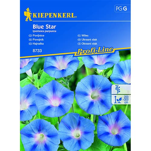 Povijnice Blue Star artikel fotografie 1 Povijnice Blue Star obrázek 1 artikel 86268