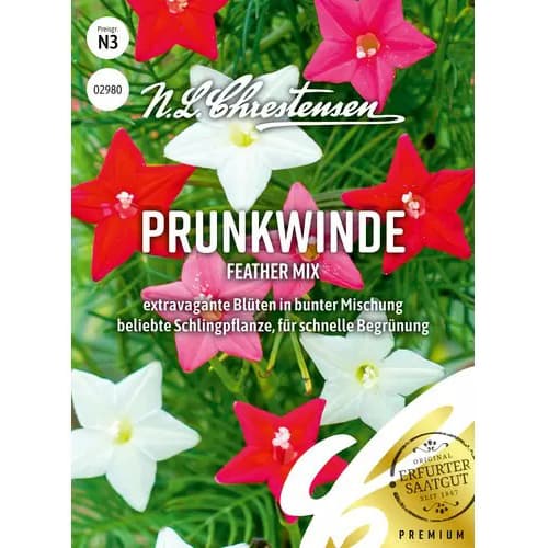 Povijnice Feather, směs obrázek 1 artikel 87816