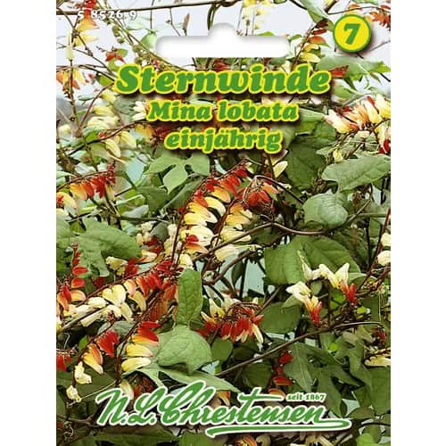 Povijnice laločnatá obrázek 1 artikel 96440