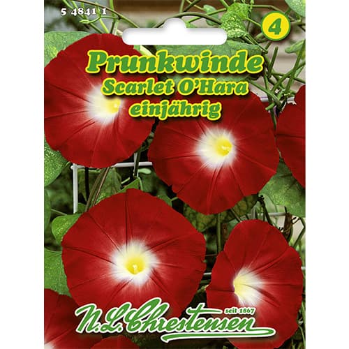 Povojnice purpurová Scarlet O`Hara artikel fotografie 1 Povojnice purpurová Scarlet O`Hara obrázek 1 artikel 86179