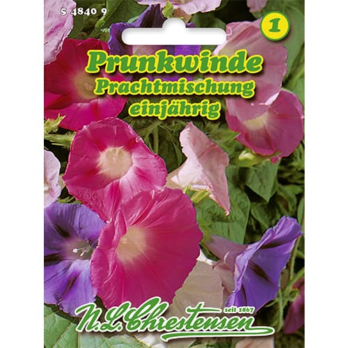 Povojnice purpurová, směs obrázek 1 artikel 86178