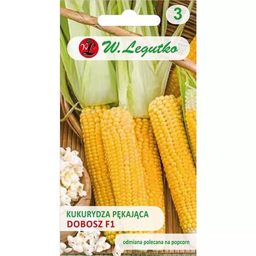 Praskající kukuřice Dobosz F1 obrázek 1 artikel 78481