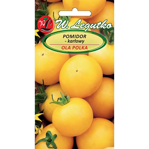 Rajče polní trpasličí Ola Polka obrázek 1 artikel 69516