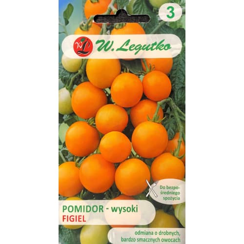 Rajče polní vysoké Figiel obrázek 1 artikel 69522