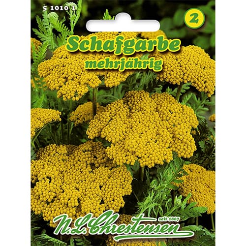 Řebříček tužebníkovitý (Achillea) obrázek 1 artikel 86114