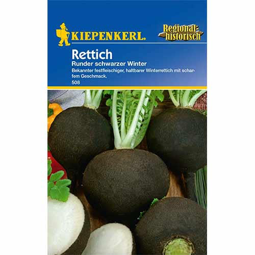Ředkev setá černá Ronde Zwarte obrázek 1 artikel 96657