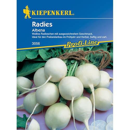 Ředkvička Albena obrázek 1 artikel 86508