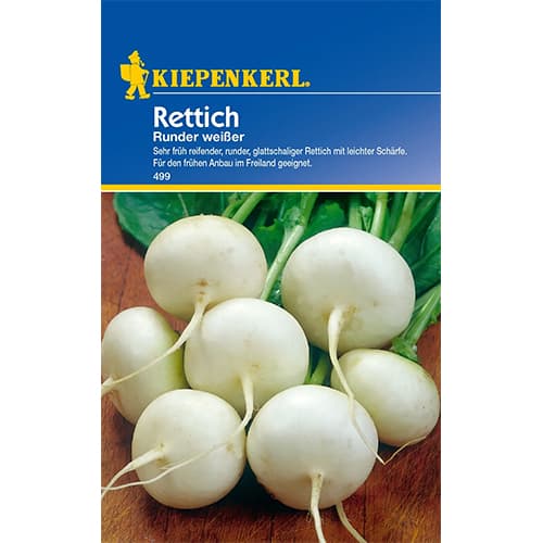 Ředkvička bíla Runder Weisser obrázek 1 artikel 87290