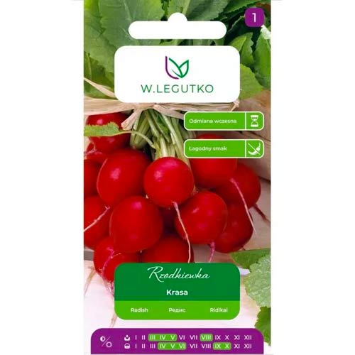 Ředkvička Krasa artikel fotografie 1 Ředkvička Krasa obrázek 1 artikel 50138