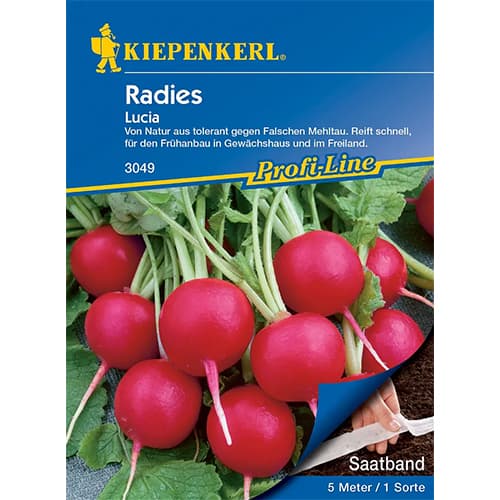 Ředkvička Lucia F1 obrázek 1 artikel 86510