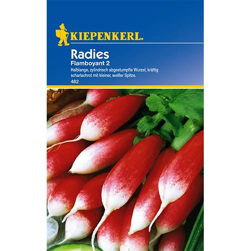 Ředkvička podlouhlá Flamboyant 2 obrázek 1 artikel 96650