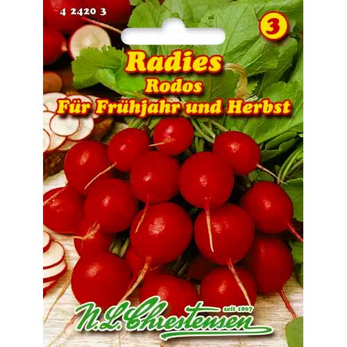 Ředkvička Rodos artikel fotografie 1 Ředkvička Rodos obrázek 1 artikel 50054