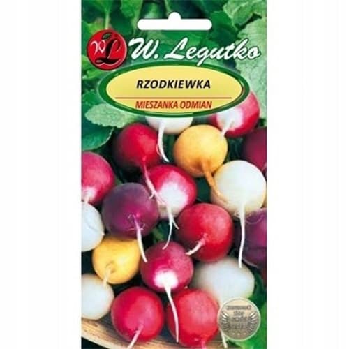 Ředkvička směs artikel fotografie 1 Ředkvička směs obrázek 1 artikel 69654