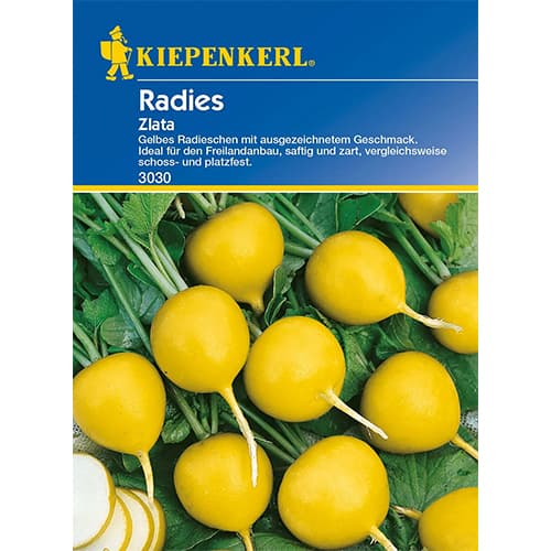 Ředkvička Zlata artikel fotografie 1 Ředkvička Zlata obrázek 1 artikel 96654