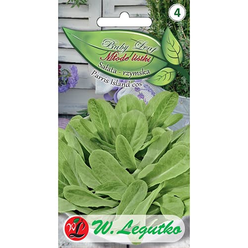 Římský salát Parris Island cos - Baby Leaf obrázek 1 artikel 86714