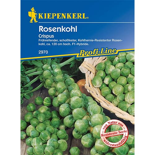 Růžičková kapusta Crispus, F1 obrázek 1 artikel 96658