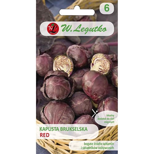 Růžičková kapusta Red artikel fotografie 1 Růžičková kapusta Red obrázek 1 artikel 69479