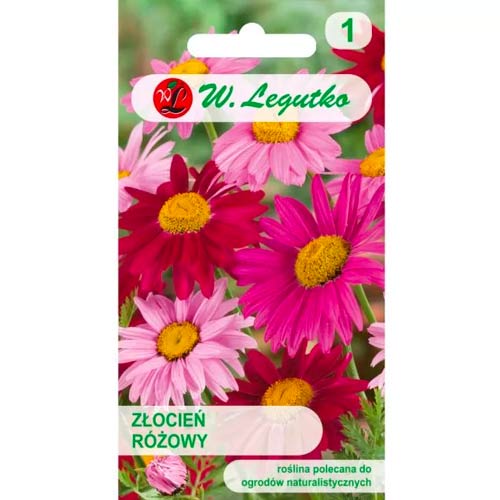 Růžový pyrethrum, směs obrázek 1 artikel 50125