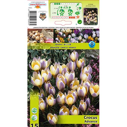 Šafrán Advance artikel fotografie 1 Šafrán Advance obrázek 1 artikel 68060
