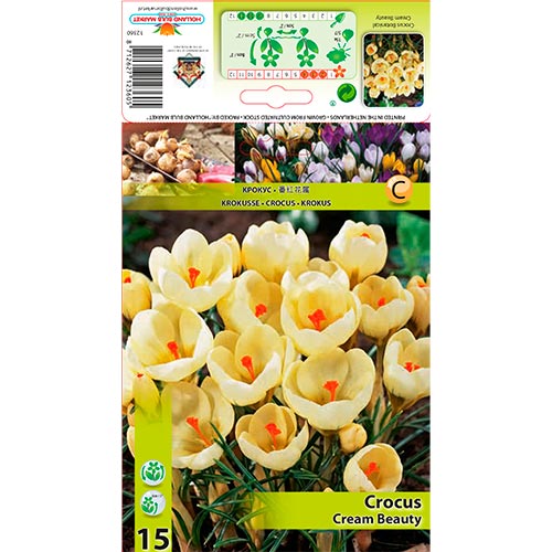 Šafrán Cream Beauty obrázek 1 artikel 67328