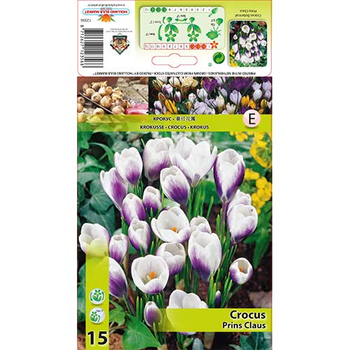 Šafrán Prins Claus obrázek 1 artikel 67618