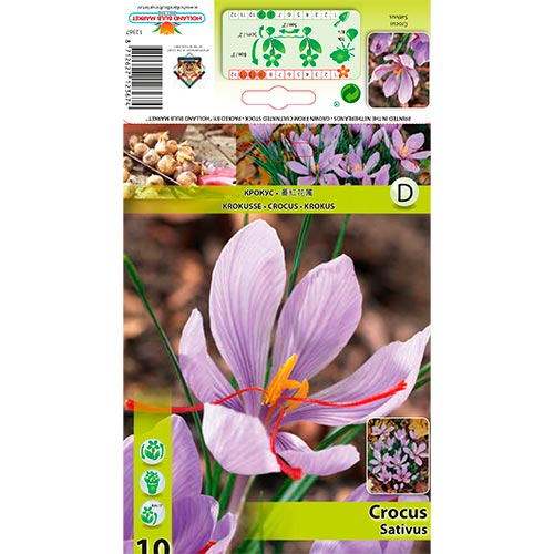 Šafrán Sativus artikel fotografie 1 Šafrán Sativus obrázek 1 artikel 70273