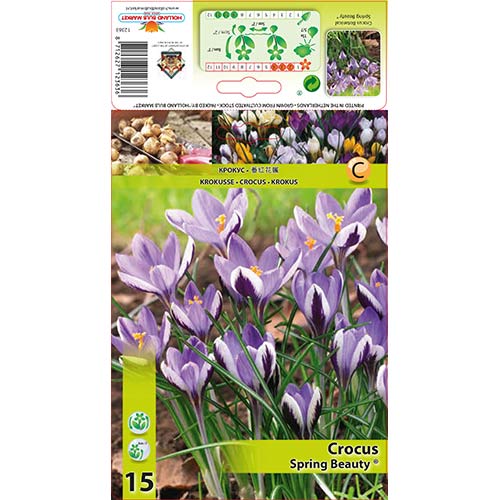 Šafrán Spring Beauty obrázek 1 artikel 67342