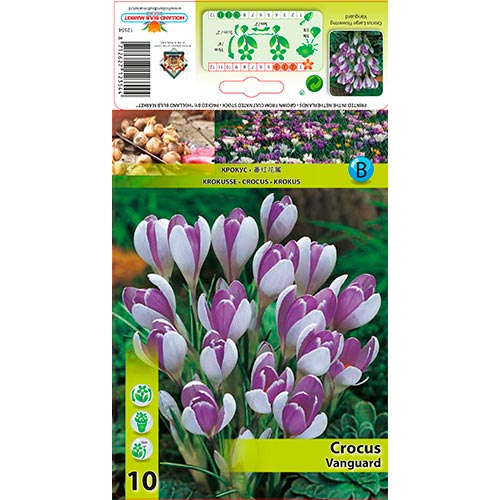 Šafrán Vanguard obrázek 1 artikel 67343