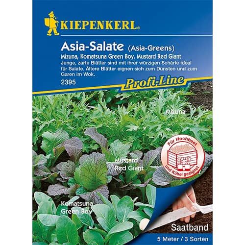 Salát asijský, směs obrázek 1 artikel 87291