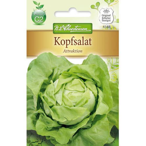 Salát hlávkový Attraktion obrázek 1 artikel 78768