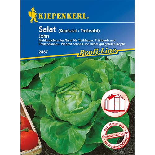 Salát hlávkový John obrázek 1 artikel 96626