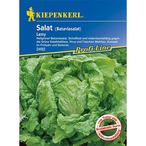 Salát hlávkový Leny obrázek 1 artikel 96595