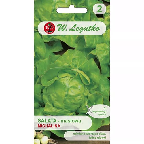 Salát hlávkový máslový Michalina obrázek 1 artikel 86901