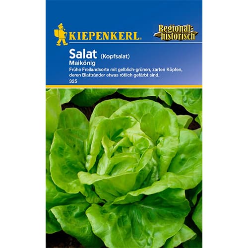 Salát hlávkový May King obrázek 1 artikel 86464