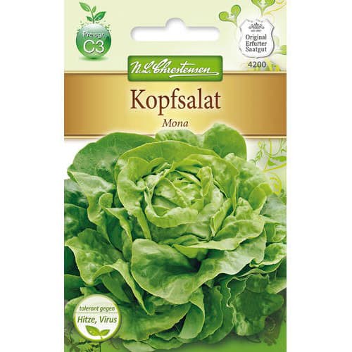 Salát hlávkový Mona obrázek 1 artikel 78771
