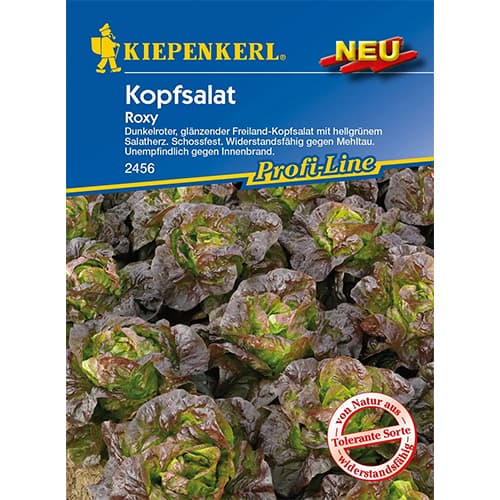 Salát hlávkový Roxy obrázek 1 artikel 96627