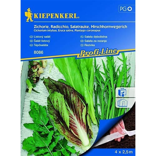 Salát italský, směs obrázek 1 artikel 87280