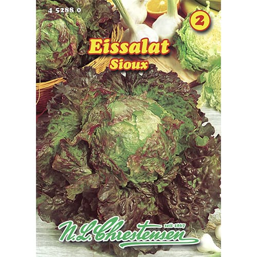 Salát ledový Sioux obrázek 1 artikel 96471