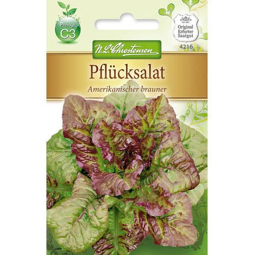 Salát listový Amerikanischer Brauner artikel fotografie 1 Salát listový Amerikanischer Brauner obrázek 1 artikel 78777