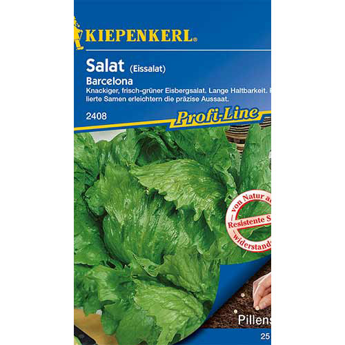 Salát listový Barcelona artikel fotografie 1 Salát listový Barcelona obrázek 1 artikel 86446