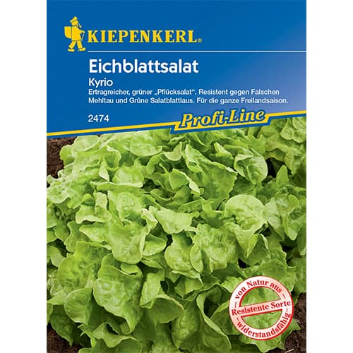 Salát listový Kyrio obrázek 1 artikel 96609
