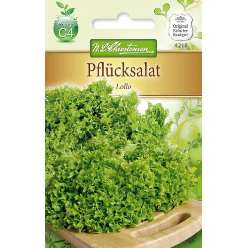 Salát listový Lollo obrázek 1 artikel 78778