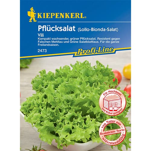 Salát listový Vili obrázek 1 artikel 96649