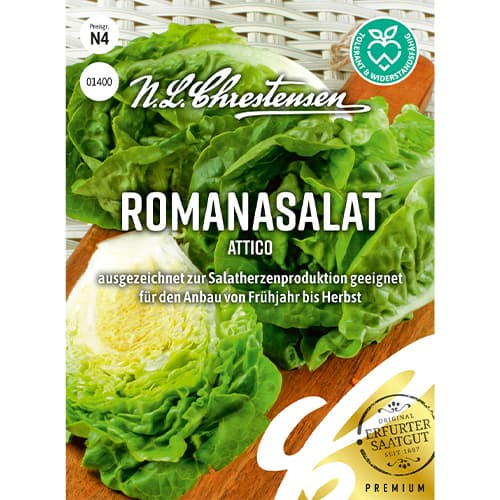 Salát římský Attico artikel fotografie 1 Salát římský Attico obrázek 1 artikel 86092