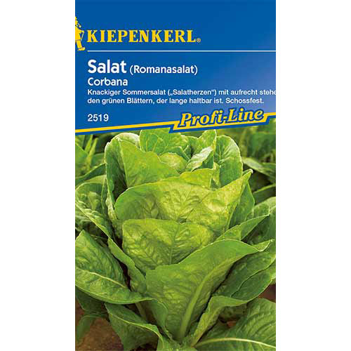 Salát římský Corbana artikel fotografie 1 Salát římský Corbana obrázek 1 artikel 86516