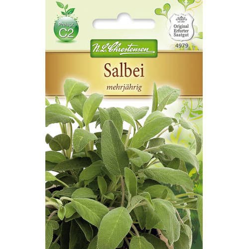 Šalvěj vytrvalá obrázek 1 artikel 78869