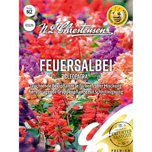 Šalvěj zářivá Kleopatra, směs obrázek 1 artikel 86150